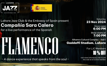 flamenco-live-dance-performance