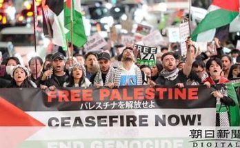 China Welcomes Gaza Ceasefire