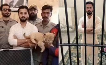 Vlogger Sentenced for Lion Cub Possession